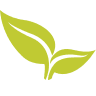 Thymeleaf